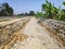 The river dries up on the side of the road, with cracked soil