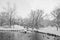 River, ducks and wooden bridge in winter park black and white