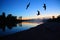 River dusk landscape with gulls