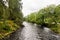 River Eachaig flowing thru Benmore Botanic Garden, Scotland