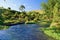 A river in the early morning in Waikato, New Zealand