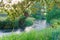 A river in the early morning in Waikato, New Zealand