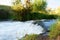 A river in the early morning in Waikato, New Zealand