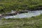 River Eas a Bhradain, at Blackhill Waterfall, on the Isle of Skye