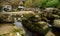 River East Dart near Dartmeet Bridge