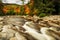 A river with a fast flow and stony banks among the wild autumn forest White Mountain National Park. USA. New Hamshire.