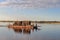 River ferry on the Northern Dvina at sunset