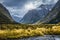 River in Fiordland national park, New Zealand