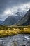 River in Fiordland national park, New Zealand