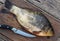 River fish on a wooden background.Large fresh golden carp on a kitchen board ready to be scaled