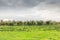 River and floodplain landscape along the Dutch River Lek