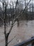 River floodwaters bridge trees muddy