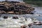 River flow through the rocks at Kaeng Tana, Ubon Ratchathani, Thailand