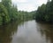 River flowing through Forest