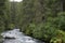 River flowing through a Forest.