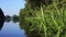 River flowing in forest