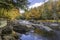 River Flowing Through a Forest in Autumn - Ontario, Canada