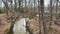 A river flowing through the forest in the fall with a distant small waterfall