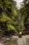 River flowing through glacial gorge in wooded area