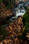 River flowing with maple leaves on the rocks on the riverside in autumn season