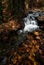 River flowing with maple leaves on the rocks on the riverside in autumn season