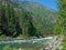 A River Flowing Through a Mountain Forest