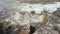 River flowing over rocks on sunny day, close up detail, rapid white water, slow motion video