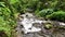 River flowing through rocks at rainforest