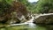 River Flowing Thru The Ecuadorian Rainforest