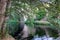 River flowing under a stone bridge and between trees