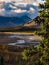 River Flowing Through Valley in Denali National Park