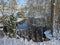 River flowing through a verdant park adorned in snow