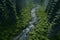 river flowing through a vibrant green forest. AI Generated