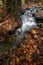 River flowing, yellow autumn mable leafs on ground. Autum landscape in forest.