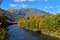 River that flows through the riparian forest