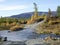 River and forest. Autumn on the Yamal Peninsula under