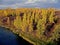 River and forest. Autumn  on the Yamal Peninsula under