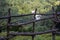 River and forest behind a wooden fence in the Himalayan area in Nepal