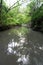 River on the forest near Ubud on Bali