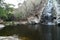 river in forest, photo as a background taken in Nicoya, Costa rica central america , montezuma beach