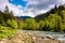 River among the forest in picturesque Carpathian mountains in sp