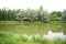 River and forest. The pond is surrounded by majestic willows and slender birches. Lush foliage