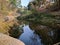 A river with forest reflection, autumn moment