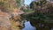 A river with forest reflection, autumn moment