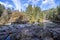 River in the forest on Vancouver Island