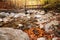 River in forest of Vizzavona in Corsica