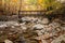 River in forest of Vizzavona in Corsica