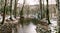 River with forested banks in the Biogradska Gora park. Montenegro