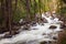 River formed by Bridal Veil waterfall, Yosemite National Park, California