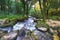 The River Fowey in Cornwall